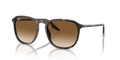 Ray-Ban RB2203F  Sunglasses