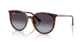 Ray-Ban RB4464L  Sunglasses