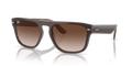 Ray-Ban RB4407  Sunglasses