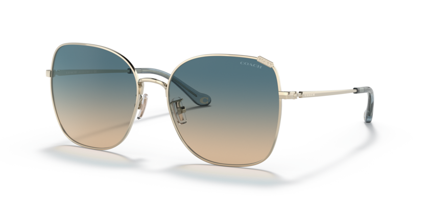 Coach HC7133 C7997 Sunglasses