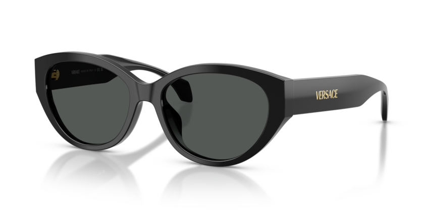 Versace VE4495D  Sunglasses