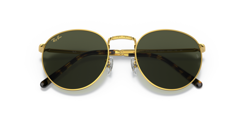 Ray-Ban RB3637 New Round Sunglasses