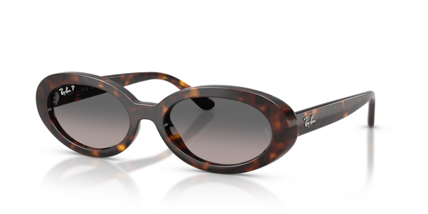 Ray-Ban RB2223F  Sunglasses