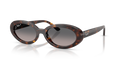 Ray-Ban RB2223F  Sunglasses