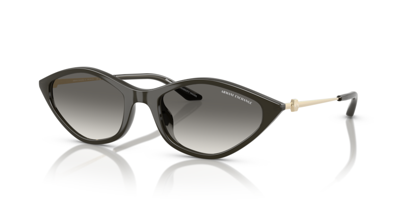 Armani Exchange AX4152SU  Sunglasses