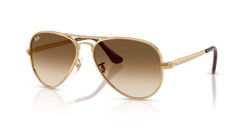Ray-Ban RB3925 Aviator Max Sunglasses