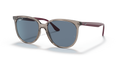 Ray-Ban RB4378  Sunglasses