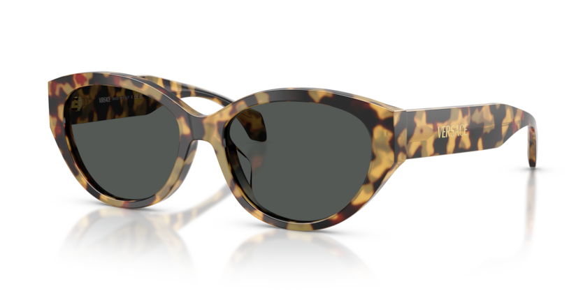 Versace VE4495D  Sunglasses