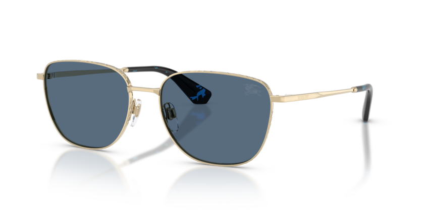 Burberry BE3171  Sunglasses