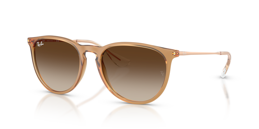 Ray-Ban RB4171 Erika Sunglasses
