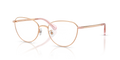 Swarovski SK1029D  Eyeglasses