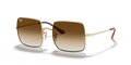 Ray-Ban RB1971 Square Sunglasses