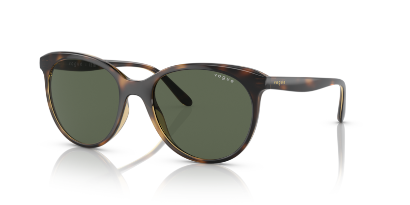 Vogue VO5453S  Sunglasses
