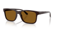 Arnette AN4378  Sunglasses