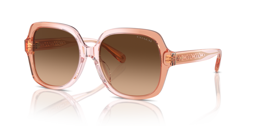 Coach HC8395F Cr962 Sunglasses