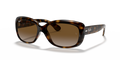 Ray-Ban RB4101 Jackie Ohh Sunglasses