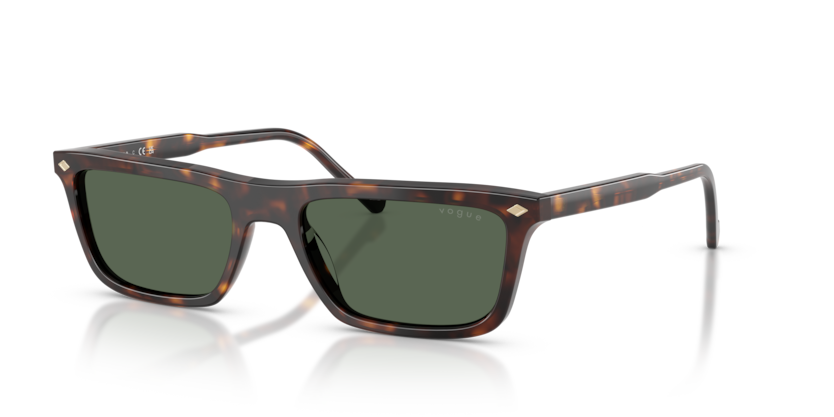 Vogue VO5687S  Sunglasses
