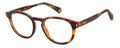 Polaroid PLD D452 Eyeglasses