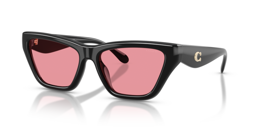 Coach HC8449U Cdp33 Sunglasses
