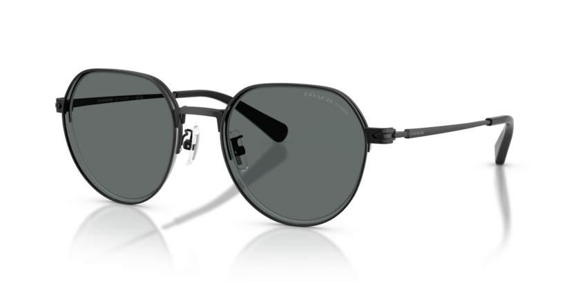 Coach HC7179 Cae81 Sunglasses