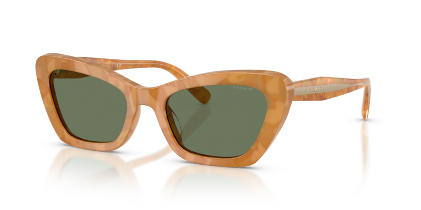 Coach HC8452U Cdp52 Sunglasses