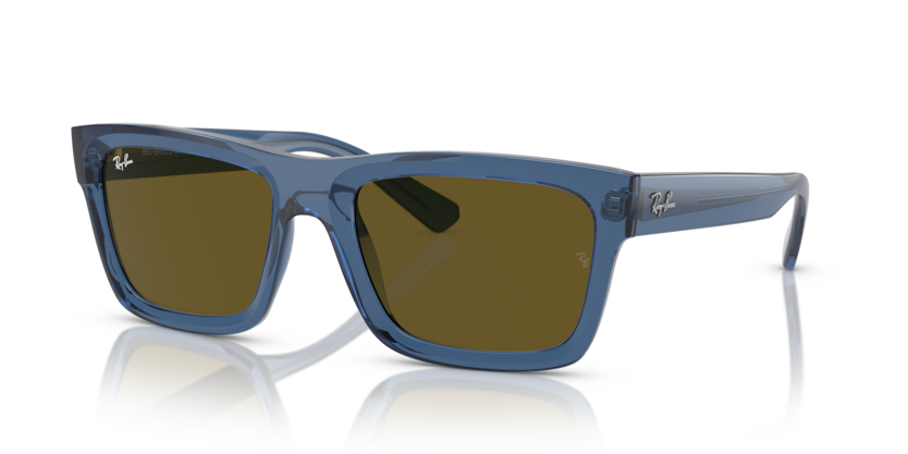 Ray-Ban RB4396F Warren Sunglasses