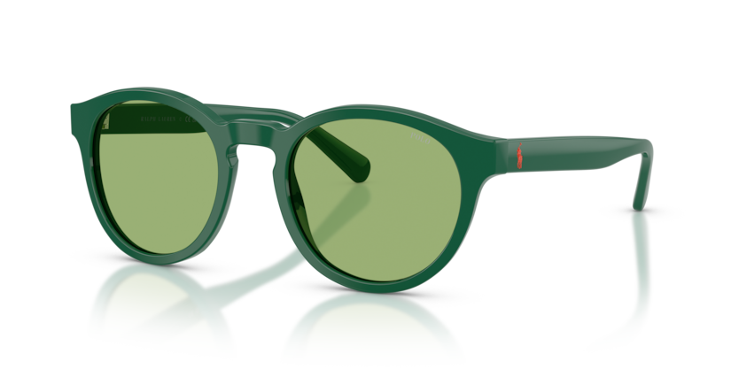 Polo PH4192  Sunglasses