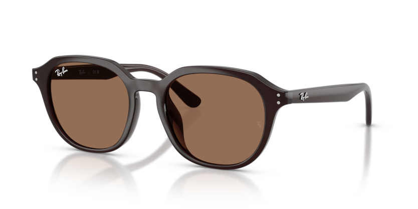 Ray-Ban RB4459D  Sunglasses