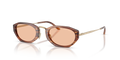 Giorgio Armani AR8242  Sunglasses