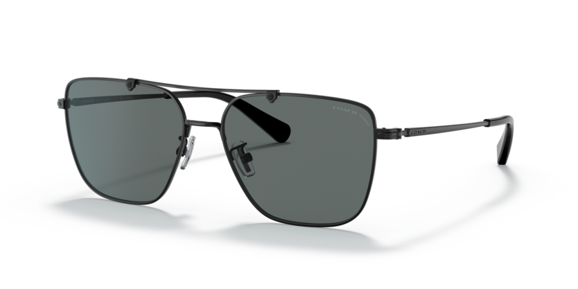 Coach HC7137 Ca576 Sunglasses