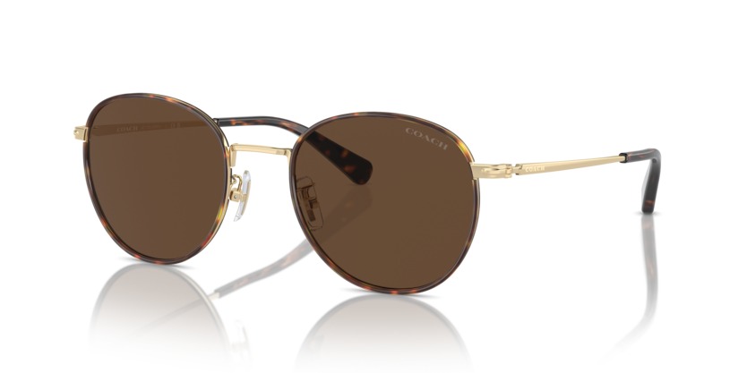 Coach HC7163 Cr631 Sunglasses