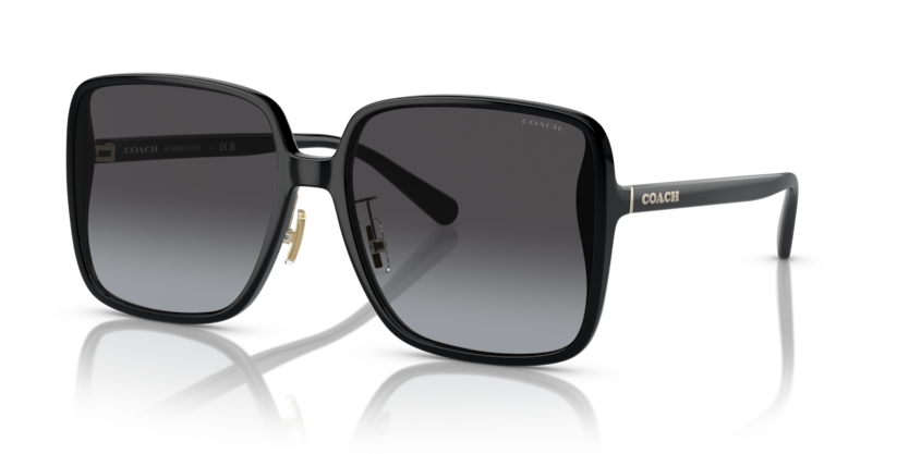 Coach HC8368D Ch572 Sunglasses