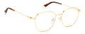 Polaroid PLD D509/G Eyeglasses