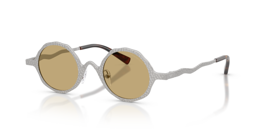 Emporio Armani EA2166  Sunglasses