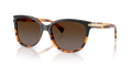 Coach HC8132 L109 Sunglasses