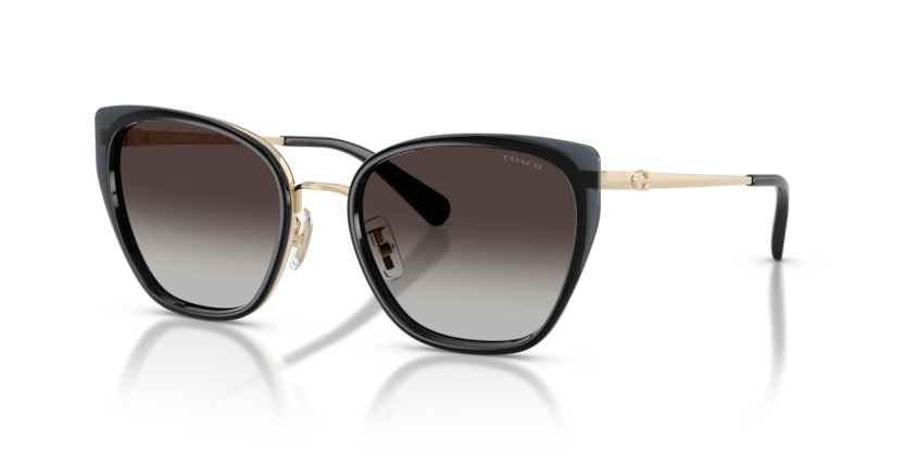 Coach HC7187 Cdp56 Sunglasses