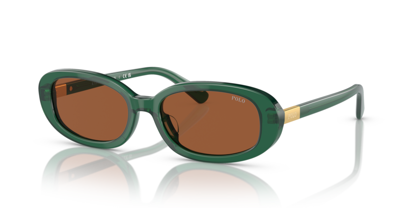 Polo PH4198U  Sunglasses
