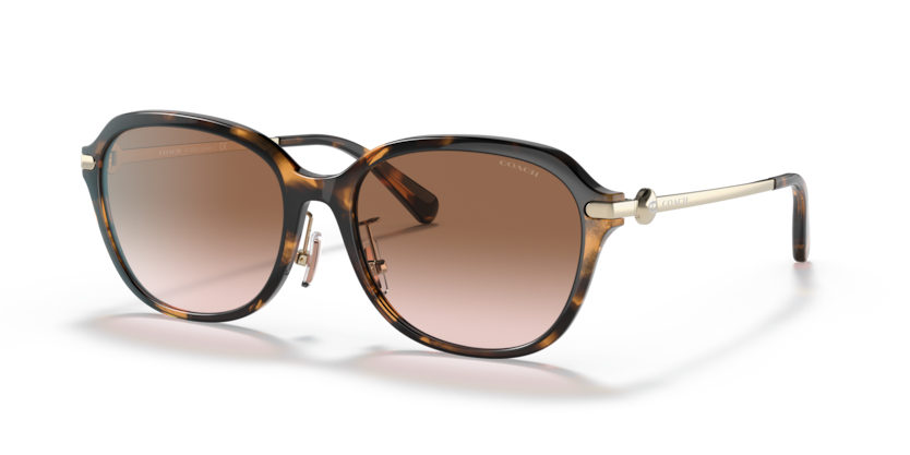 Coach HC8332D C6199 Sunglasses
