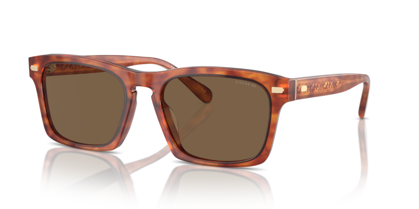 Coach HC8397U Cr628 Sunglasses