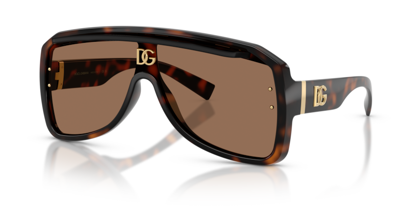 Dolce & Gabbana DG6205  Sunglasses