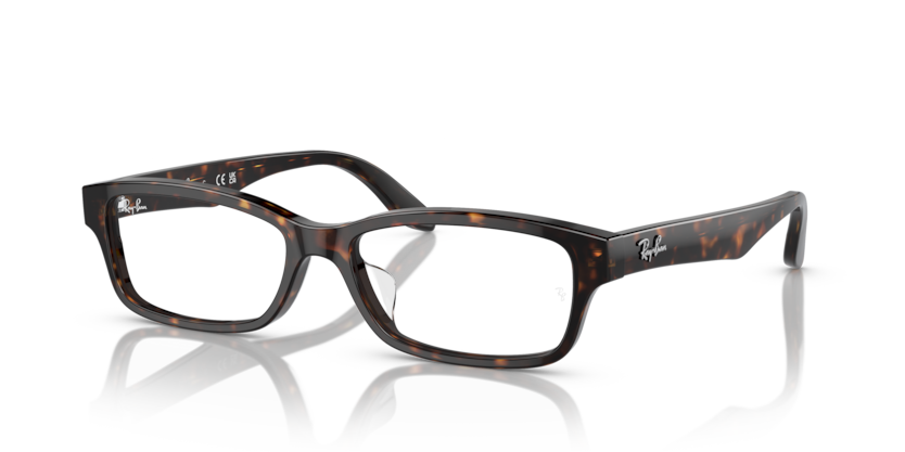 Ray-Ban Vista RX5415D  Eyeglasses