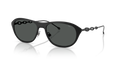 Diesel DL1011  Sunglasses