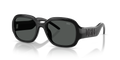 Diesel DL3023U  Sunglasses