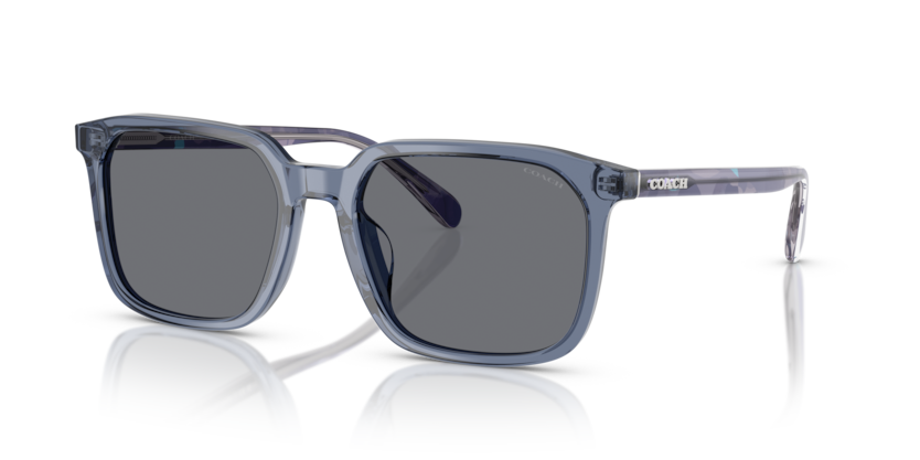 Coach HC8411U Cw405 Sunglasses