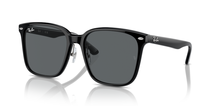 Ray-Ban RB2206D  Sunglasses