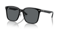 Ray-Ban RB2206D  Sunglasses
