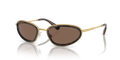 Swarovski SK7004  Sunglasses
