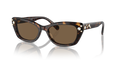 Swarovski SK6019  Sunglasses