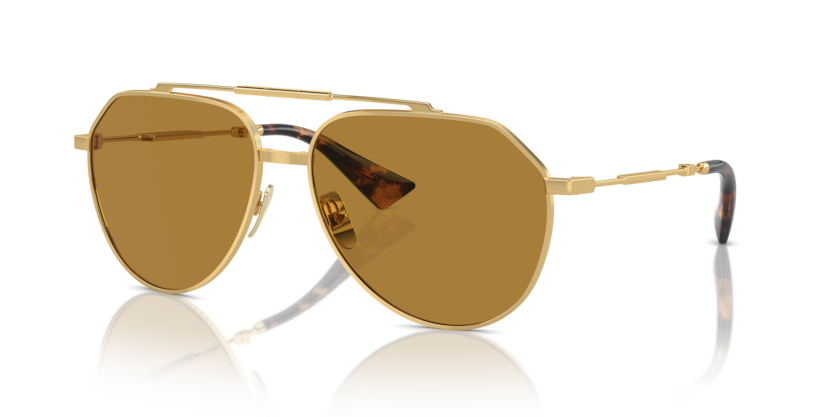 Dolce & Gabbana DG2302  Sunglasses