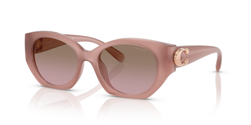 Coach HC8407U Cw194 Sunglasses